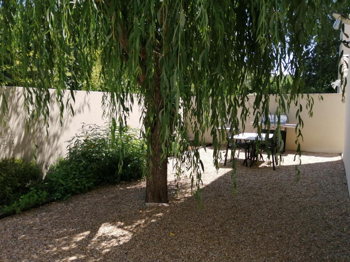 Le Cabanon De Laura Βίλα LʼIsle-sur-la-Sorgue Εξωτερικό φωτογραφία